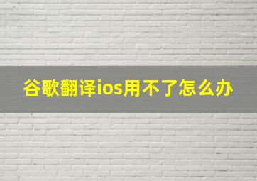 谷歌翻译ios用不了怎么办