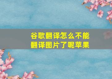 谷歌翻译怎么不能翻译图片了呢苹果