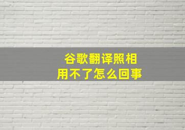 谷歌翻译照相用不了怎么回事