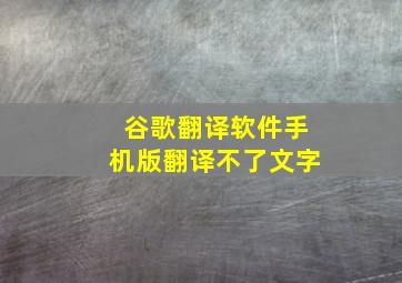 谷歌翻译软件手机版翻译不了文字