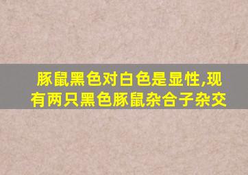 豚鼠黑色对白色是显性,现有两只黑色豚鼠杂合子杂交