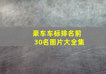 豪车车标排名前30名图片大全集