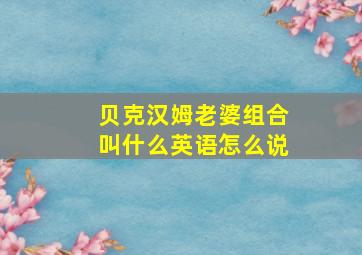 贝克汉姆老婆组合叫什么英语怎么说