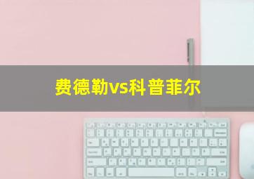 费德勒vs科普菲尔