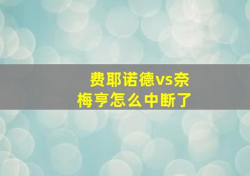 费耶诺德vs奈梅亨怎么中断了