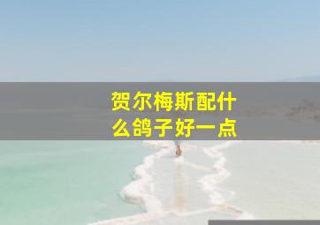 贺尔梅斯配什么鸽子好一点