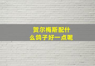 贺尔梅斯配什么鸽子好一点呢