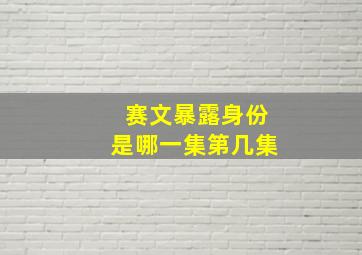 赛文暴露身份是哪一集第几集