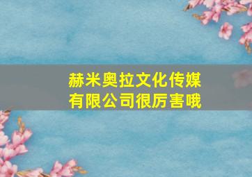 赫米奥拉文化传媒有限公司很厉害哦