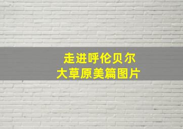 走进呼伦贝尔大草原美篇图片