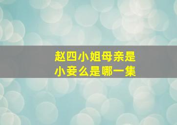 赵四小姐母亲是小妾么是哪一集