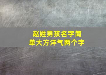 赵姓男孩名字简单大方洋气两个字