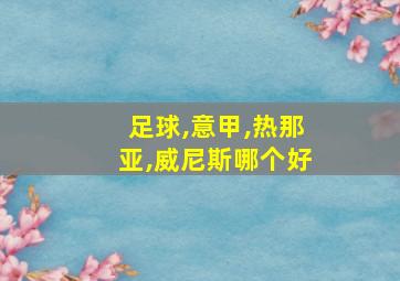 足球,意甲,热那亚,威尼斯哪个好