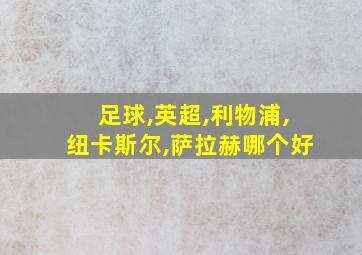 足球,英超,利物浦,纽卡斯尔,萨拉赫哪个好