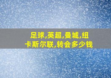 足球,英超,曼城,纽卡斯尔联,转会多少钱