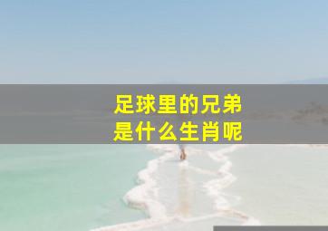 足球里的兄弟是什么生肖呢