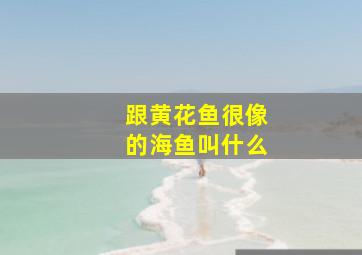 跟黄花鱼很像的海鱼叫什么