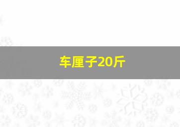 车厘子20斤