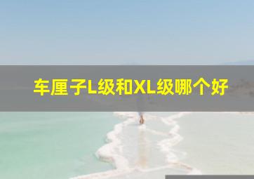 车厘子L级和XL级哪个好