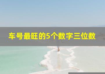 车号最旺的5个数字三位数