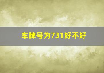 车牌号为731好不好