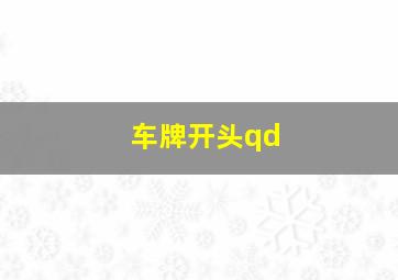 车牌开头qd