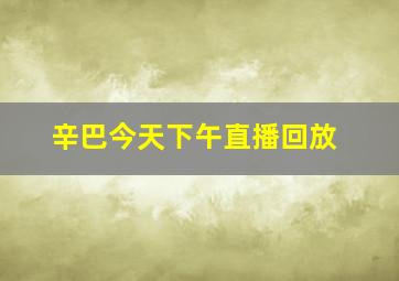 辛巴今天下午直播回放