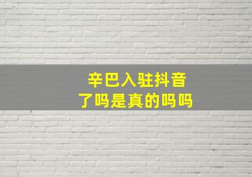 辛巴入驻抖音了吗是真的吗吗