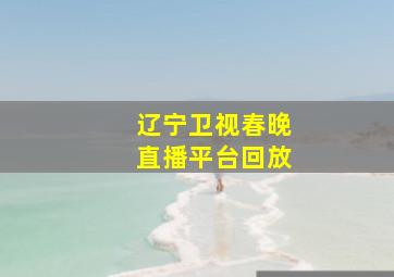 辽宁卫视春晚直播平台回放