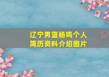 辽宁男篮杨鸣个人简历资料介绍图片