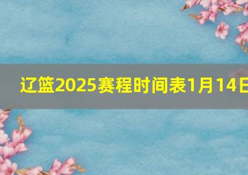 辽篮2025赛程时间表1月14日