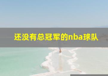 还没有总冠军的nba球队