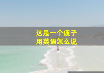 这是一个傻子用英语怎么说