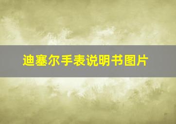 迪塞尔手表说明书图片