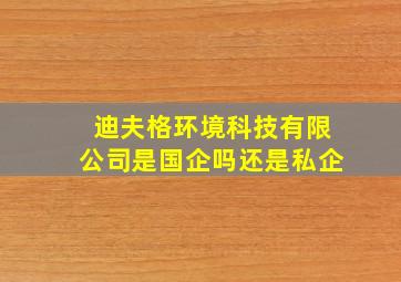 迪夫格环境科技有限公司是国企吗还是私企