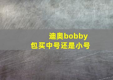 迪奥bobby包买中号还是小号