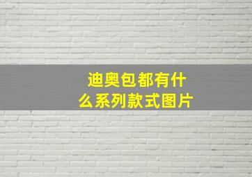 迪奥包都有什么系列款式图片