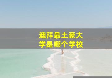 迪拜最土豪大学是哪个学校