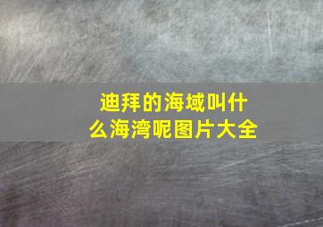 迪拜的海域叫什么海湾呢图片大全