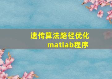 遗传算法路径优化matlab程序