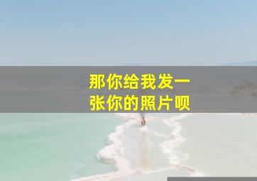 那你给我发一张你的照片呗