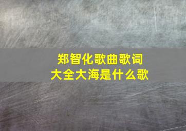 郑智化歌曲歌词大全大海是什么歌