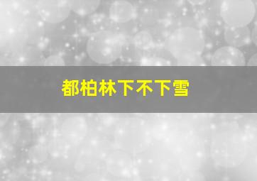 都柏林下不下雪