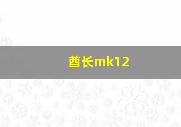 酋长mk12