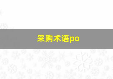 采购术语po