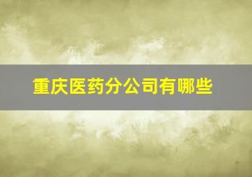 重庆医药分公司有哪些