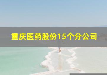 重庆医药股份15个分公司