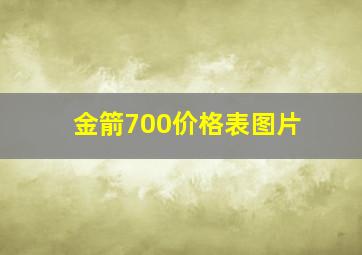 金箭700价格表图片