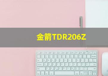 金箭TDR206Z