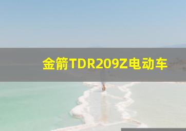 金箭TDR209Z电动车